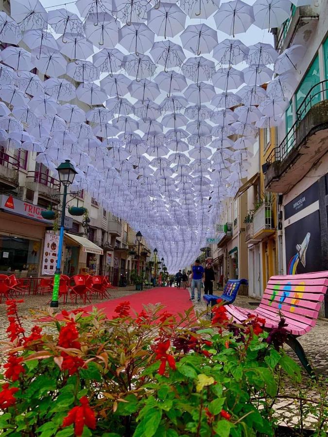 Terreno Das Mimosas Aveiro Exterior foto