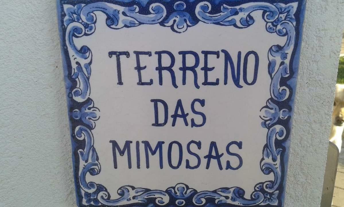 Terreno Das Mimosas Aveiro Exterior foto